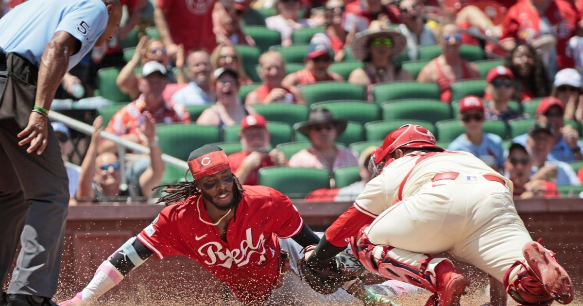 Before Yohel Pozo walk-off, Cardinals got many contributions