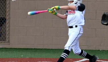 DuBois Little Leaguers reach D-10 title game | Baseball