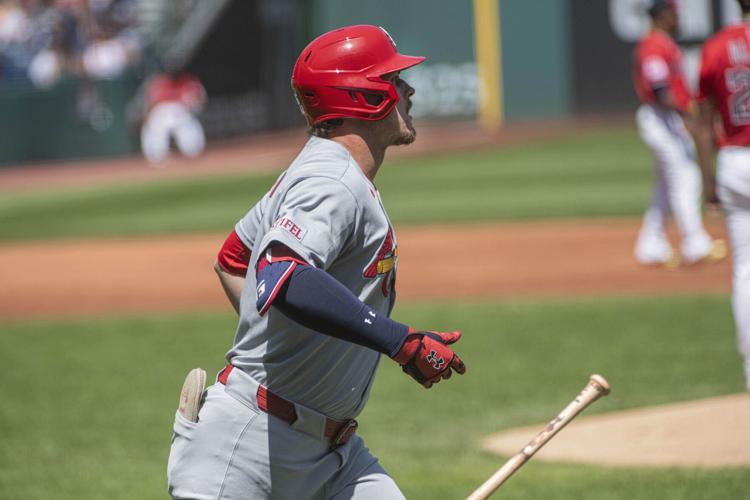 Cardinals Guardians Baseball