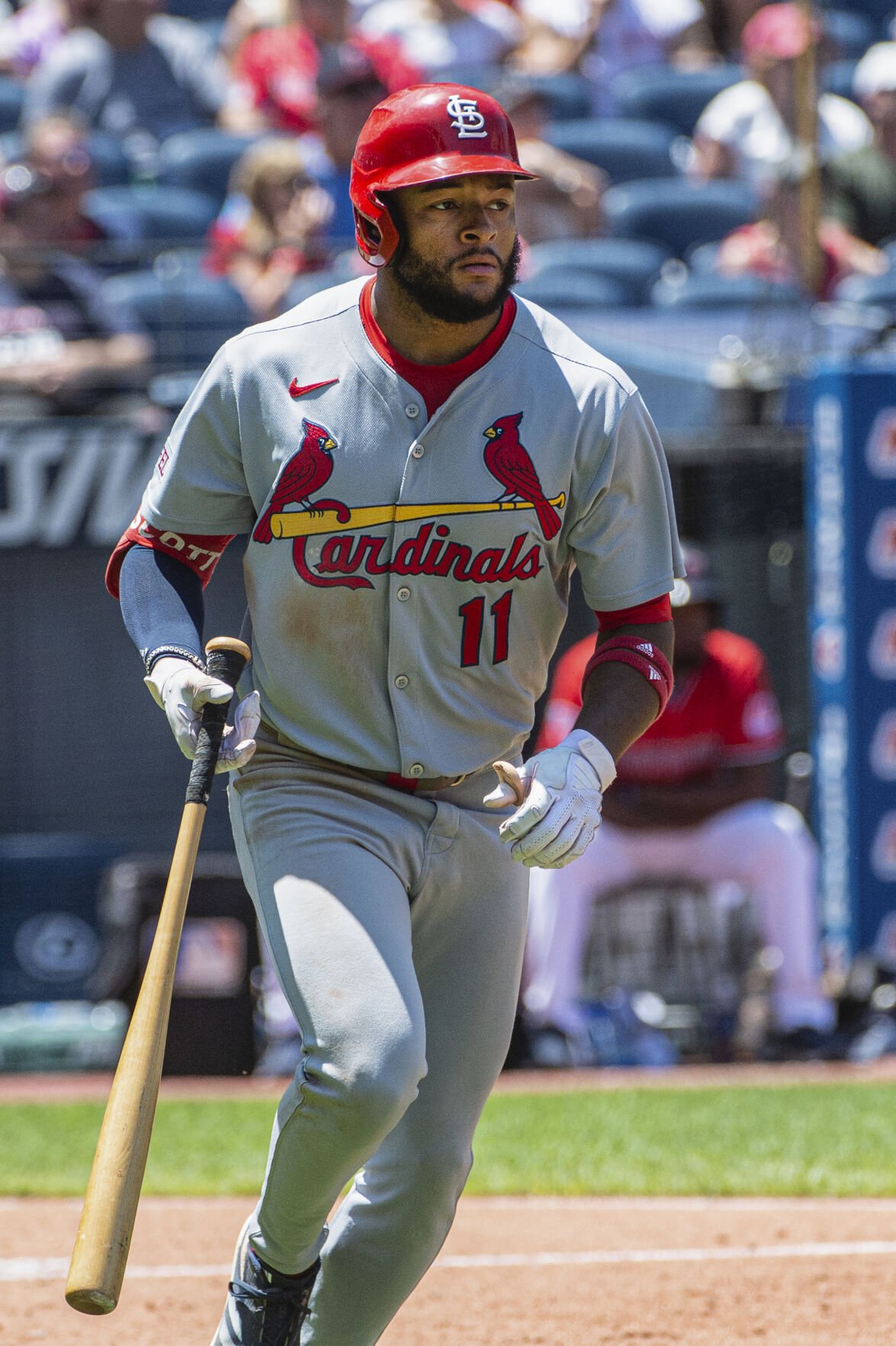 Cardinals Guardians Baseball