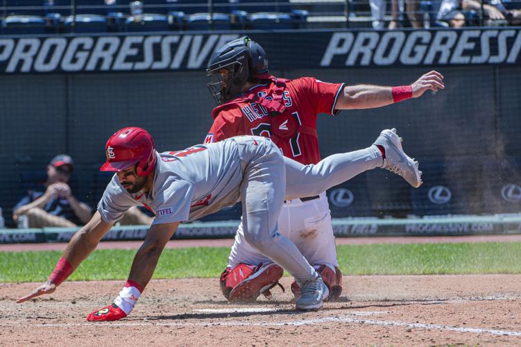 Cardinals Guardians Baseball