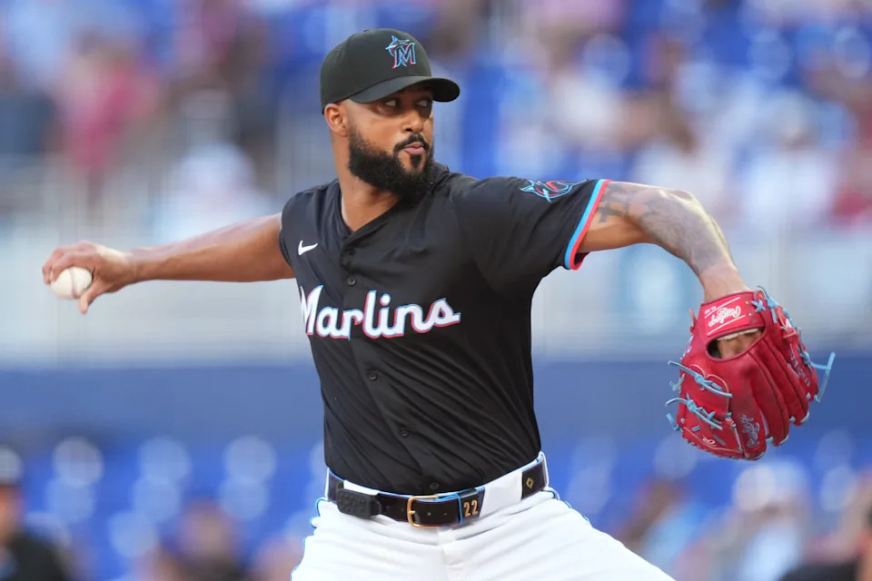 Miami Marlins pitcher Sandy Alcantara (22) pitches in the first inning against the Washington NationalsJim Rassol-Imagn Images
