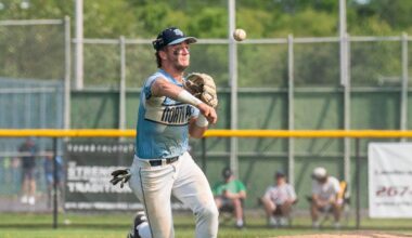 PIAA State Baseball Playoffs: Matchups, schedules, scores, recaps