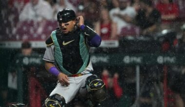 Resumed game ends in Reds win