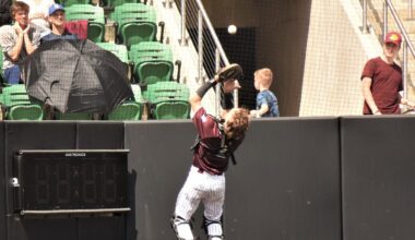 2025 New York State baseball playoffs