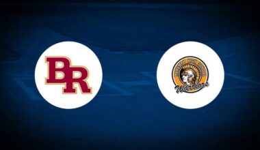 Brother Rice vs McHenry livestream Illinois playoff high school baseball