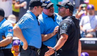Kevin Schnall ejection 'drastically altered' game