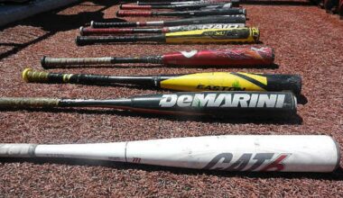 Cheyenne, Cody, and Wheatland Top Wyoming Legion Standings