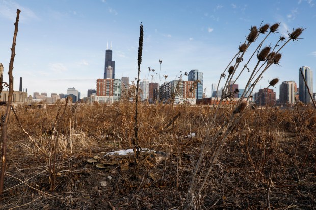 The 78 mega development along the Chicago River in the...