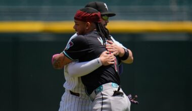 Ugly fan behavior at Chicago White Sox game a sad societal sign