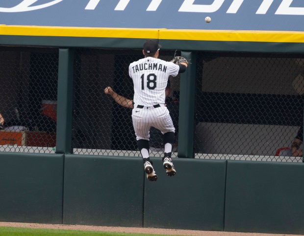 White Sox outfielder Mike Tauchman (18) can't reach a home run by Detroit Tigers outfielder Wenceel Pérez in the seventh inning Thursday, June 5, 2025, at Rate Field. (Brian Cassella/Chicago Tribune)
