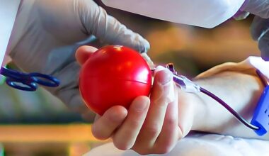 Here’s how you can donate in the 22nd annual Red Cross St. Louis Cardinals Blood Drive