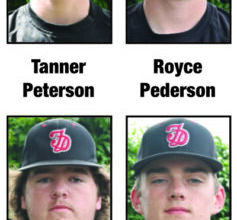 FD baseball team handles Riverhawks | News, Sports, Jobs
