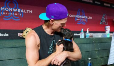 Diamondbacks help shelter pay for adoptions through June 22