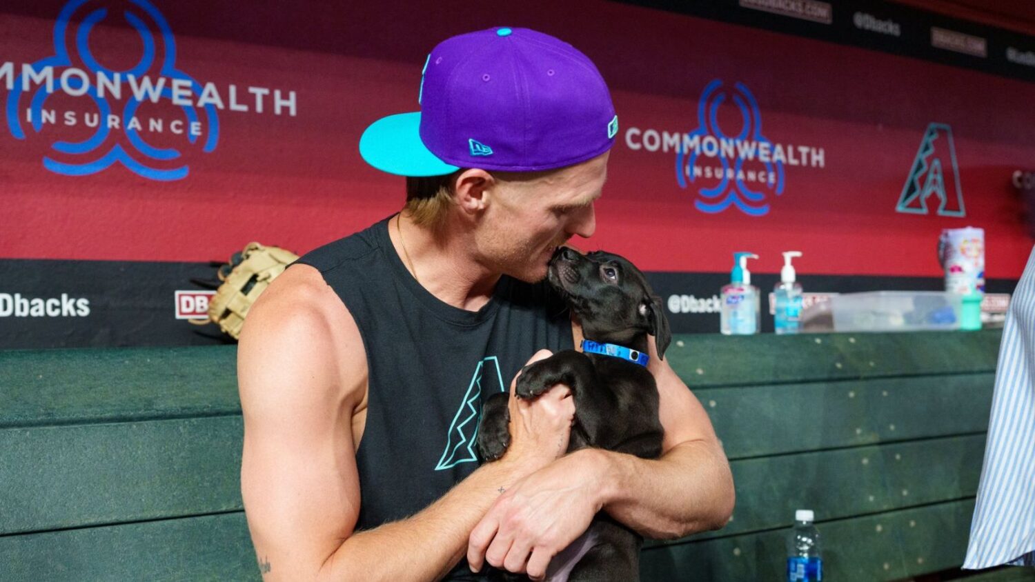 Diamondbacks help shelter pay for adoptions through June 22