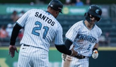 Chicago White Sox Minor League Update: June 17, 2025