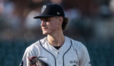 Chicago White Sox Minor League Update: June 19, 2025