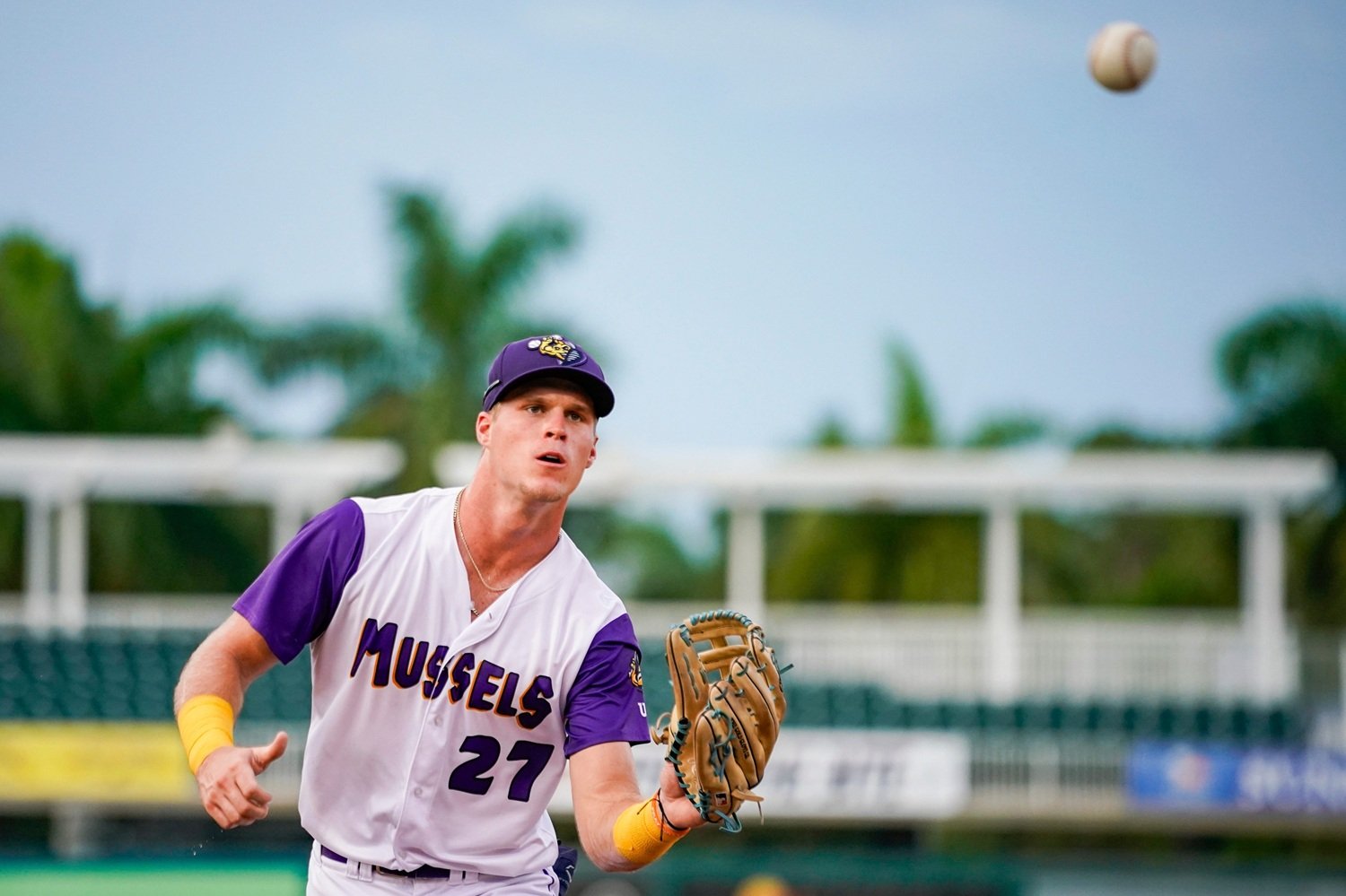 Twins Minor League Report (6/6): Walker Jenkins Blasts Go-Ahead Homer for Mussels - Minor Leagues