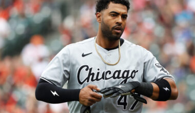 White Sox Outright Joshua Palacios