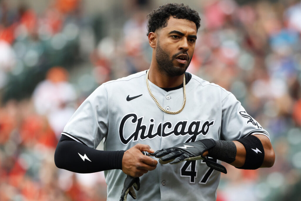 White Sox Outright Joshua Palacios