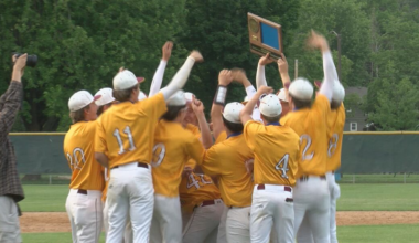 Stewartville baseball wins Section 1AAA Championship, earns first-ever trip to state