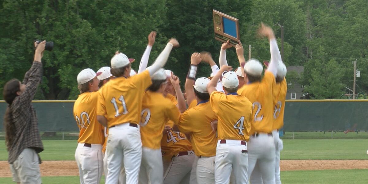 Stewartville baseball wins Section 1AAA Championship, earns first-ever trip to state