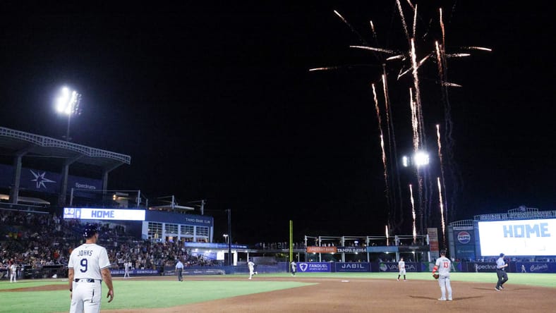 MLB: Minnesota Twins at Tampa Bay Rays