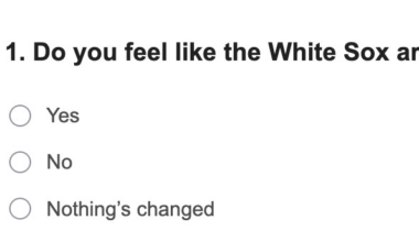 Chicago White Sox Reacts Survey: Rebuild temperature check