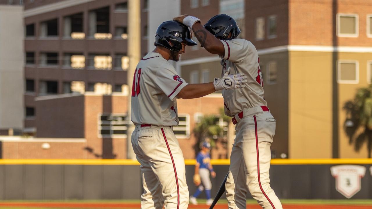 Record-setting runs, home runs, and walk-off grand slams: The DII baseball finals are in full swing