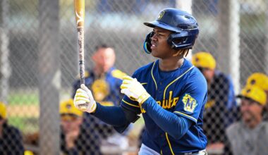 Jesús Made, Luis Pena & Brewers prospect notebook