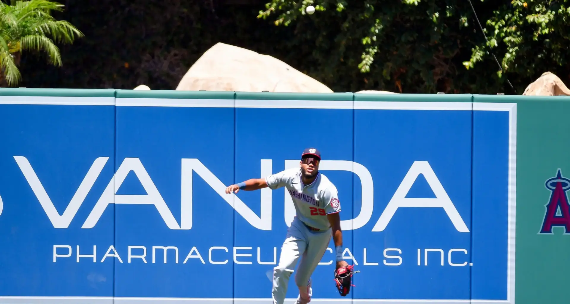 James Wood joins Barry Bonds in history books with four intentional walks in Nationals' thrilling win