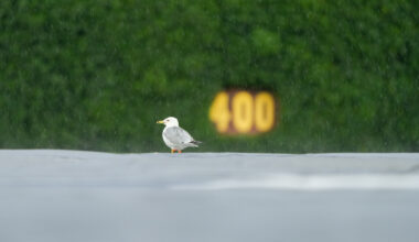 Cubs vs. Brewers game Wednesday at Wrigley Field postponed by rain