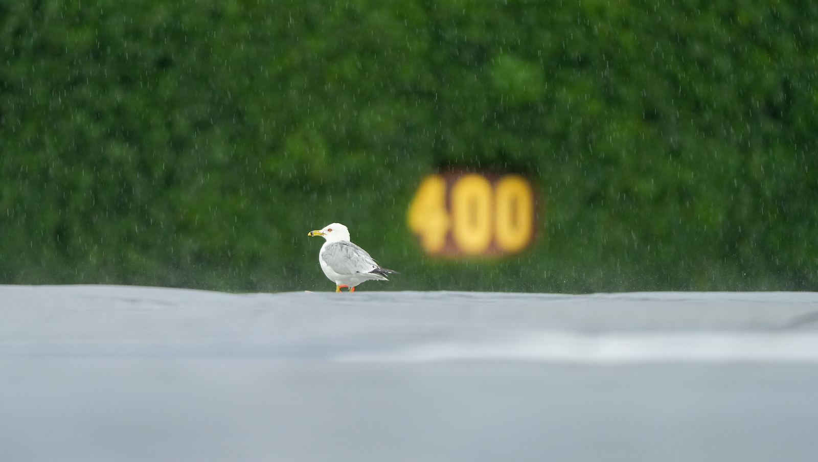 Cubs vs. Brewers game Wednesday at Wrigley Field postponed by rain