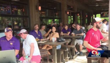 Tiger fans celebrate LSU baseball's victory in the College World Series