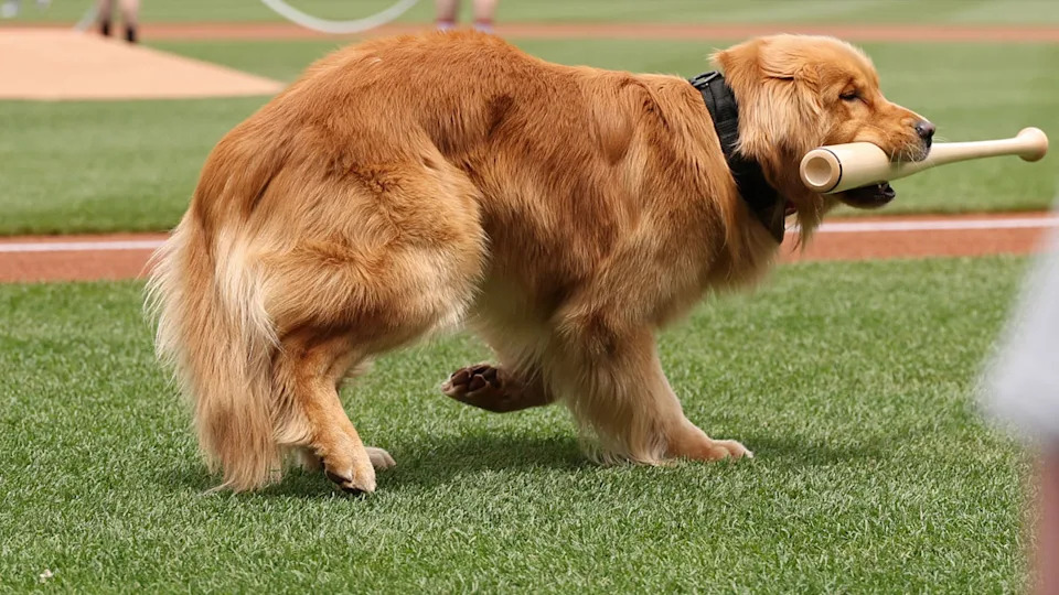 Geoff Burke-Imagn Images