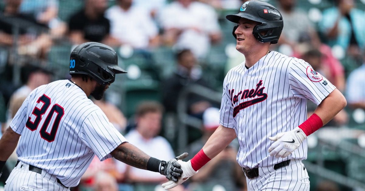 Chicago White Sox Minor League Update: June 5, 2025