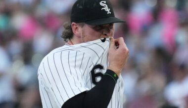 Would Chicago White Sox fans accept a retractable roof?