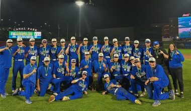 Anthony Wayne tops Amherst Steele to win Division II state baseball title