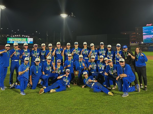 Anthony Wayne tops Amherst Steele to win Division II state baseball title