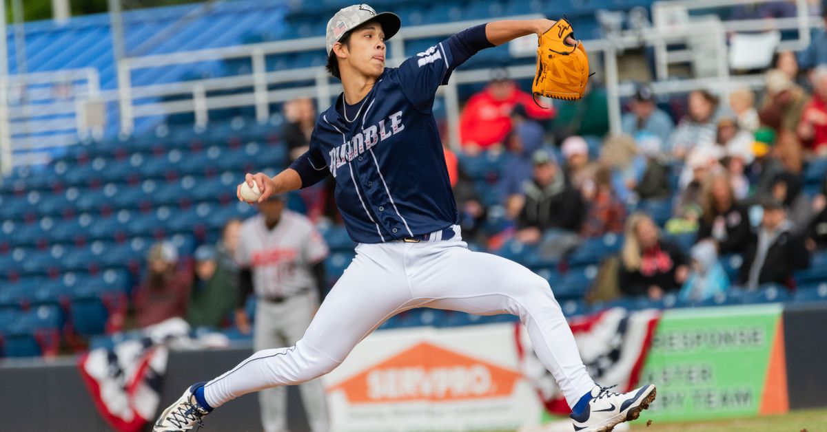 Mets Daily Prospect Report, 6/05/25