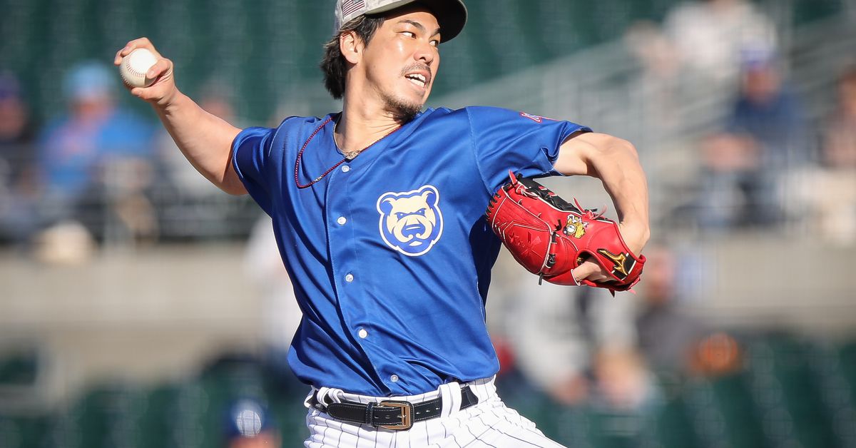 Chicago Cubs Minor League Wrap: June 22