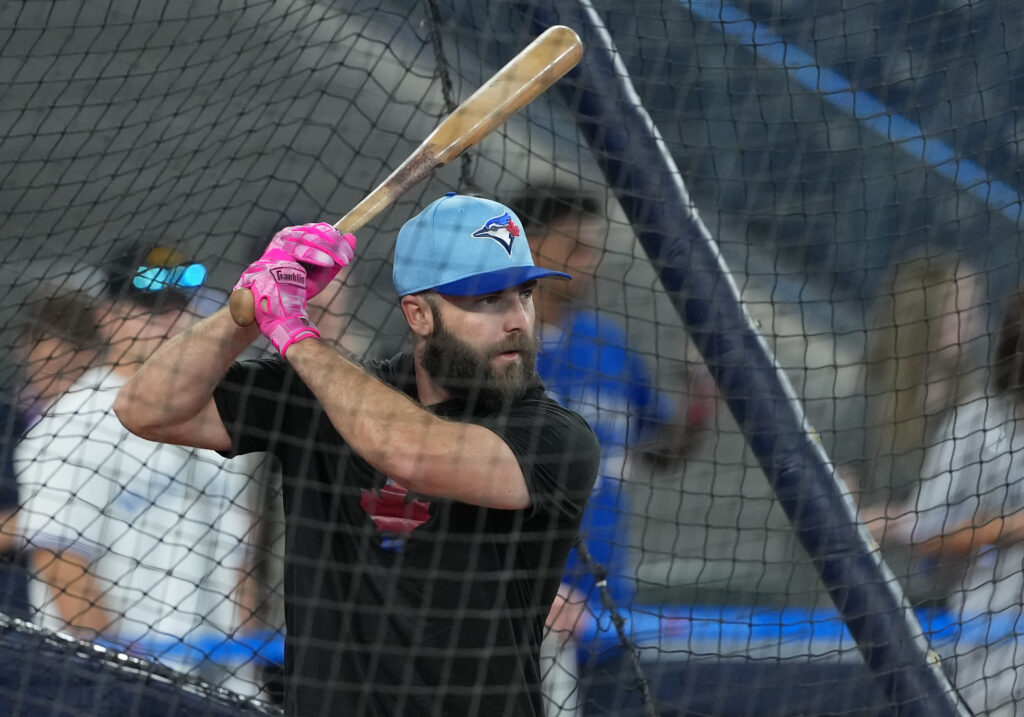 Blue Jays DFA Michael Stefanic, Ali Sánchez