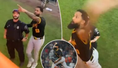 Pirates' Dennis Santana tries to smack fan in bullpen altercation