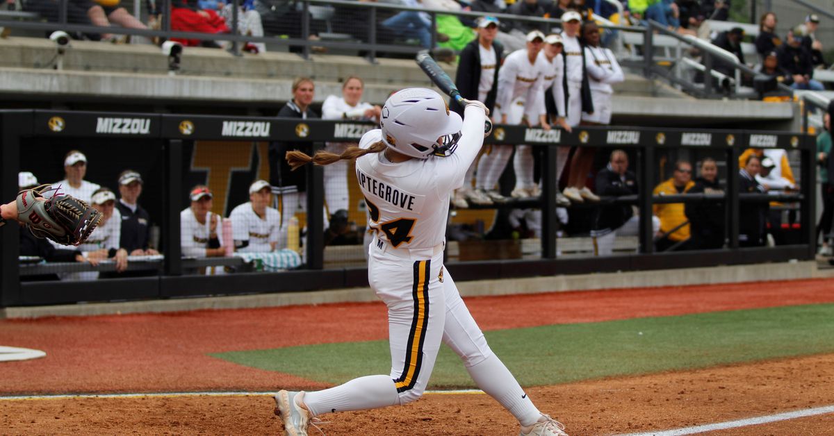 Jake Epstein hired as Missouri Tigers Softball hitting coach