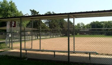 Waverly Parks and Rec asks for more umpires as baseball gets into full swing