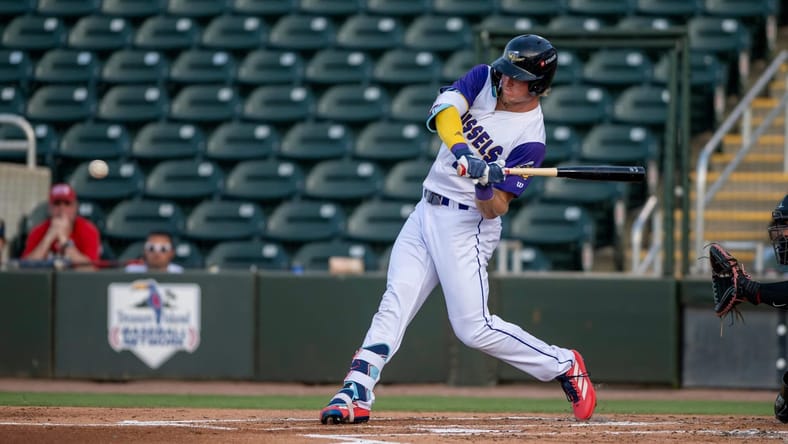 Walker Jenkins, Minnesota Twins