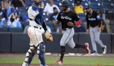 Hernandez gets go-ahead hit in 10th as Marlins outlast Morel, Rays 11-10