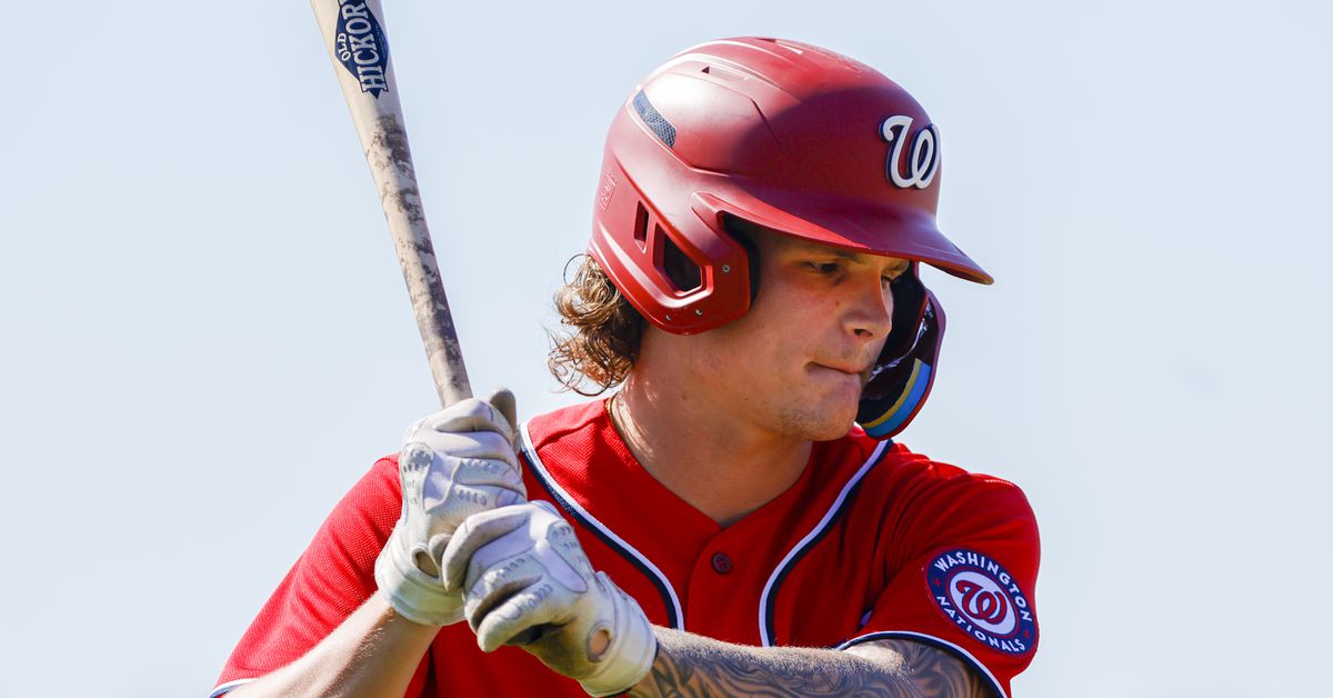 Five Washington Nationals prospects performing well