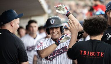 Anthony Seigler reportedly called up from Triple-A Nashville