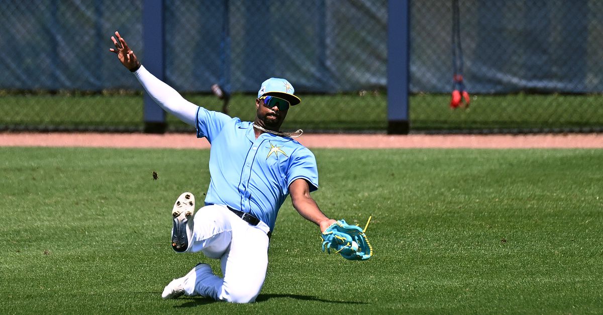 Tampa Bay Rays Minor League Roundup: Week 12